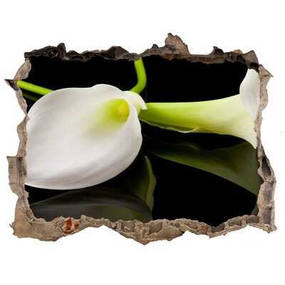 3D Wandtattoos Loch in der Wand Blume aus Beton