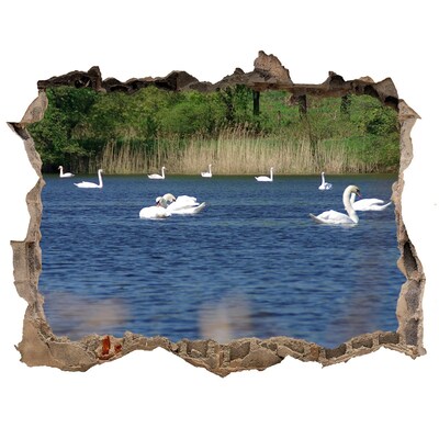 3D Wandsticker Loch See mit Schwänen