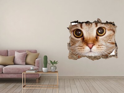 3D Wandtattoos Loch in der Wand Die Katze hinter dem Loch in der Wand