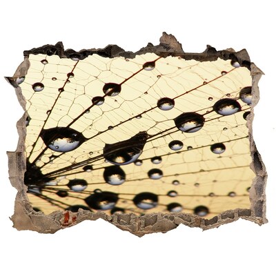 3D Wandtattoos Loch in der Wand Wassertropfen auf einem Schmetterlingsflügel