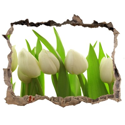 3D Wandsticker Loch Blumen aus Beton