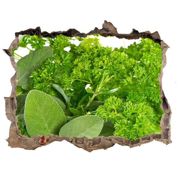 Wandtattoos Mauerdurchbruch Eine grüne Oase aus Beton