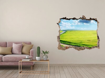3D Wandtattoos Loch in der Wand Grüne Wiese mit Himmel