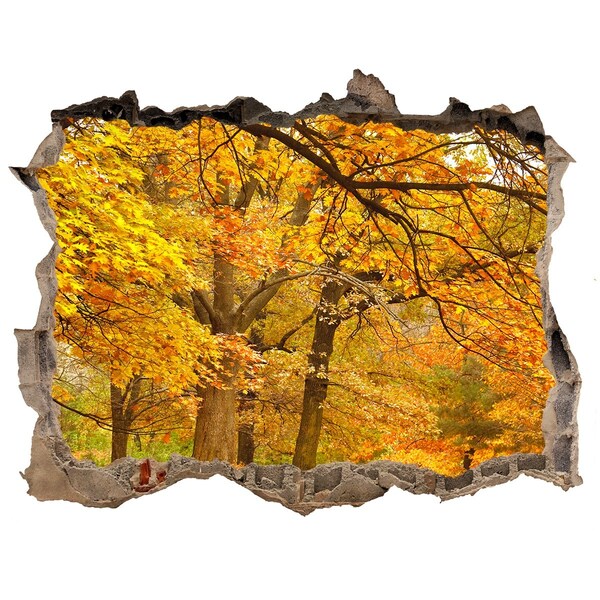 Wandtattoos Loch Goldener Herbst im Wald