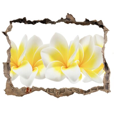 3D Wandsticker Loch Ein Blumenparadies hinter der Mauer