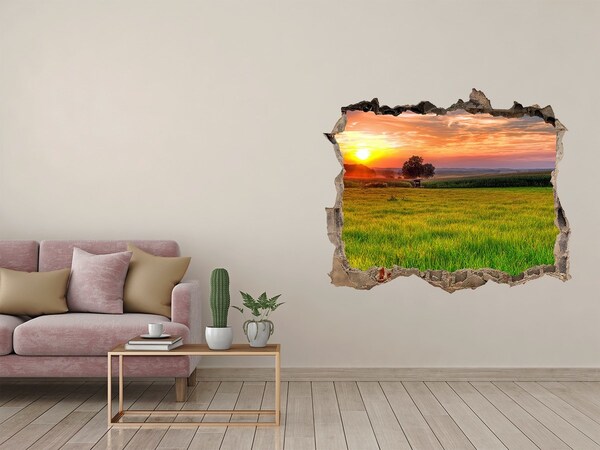 3D Wandtattoos Loch in der Wand Sonnenuntergang über der Wiese