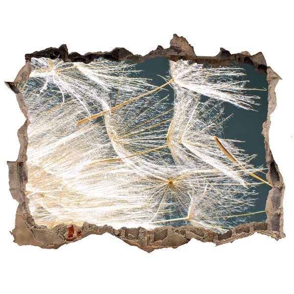 Wandtattoos Loch Hinter dem Loch erstreckt sich eine Blumenlandschaft.