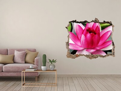 3D Wandtattoos Loch in der Wand Lotusblume in einem Loch in der Wand