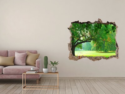 Wandfolien Loch in der Wand Grüner Park in der Sonne