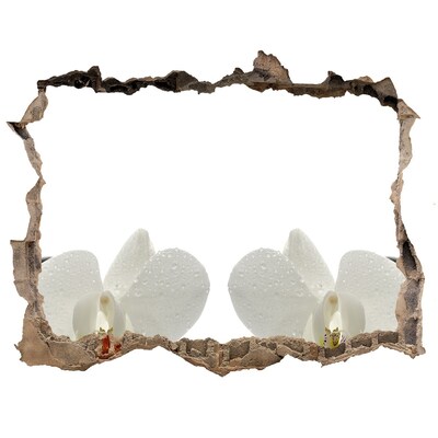 3D Wandtattoos Loch in der Wand Blumen aus Beton