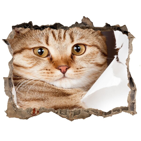 3D Wandsticker Loch Katze in einem Loch in der Wand