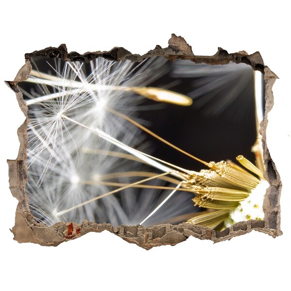 3D Wandtattoos Loch in der Wand Blumentraum durch ein Loch in der Wand