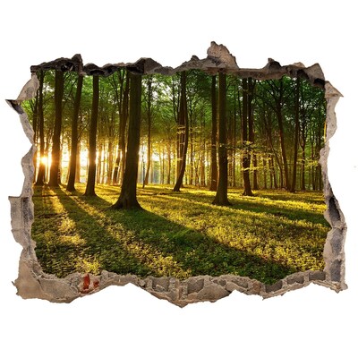 3D Wandsticker Loch Goldener Wald am Morgen