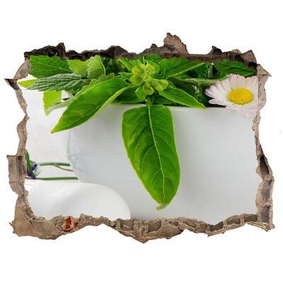 3D Wandtattoos Loch in der Wand Grüne Vegetation in der beschädigten Mauer