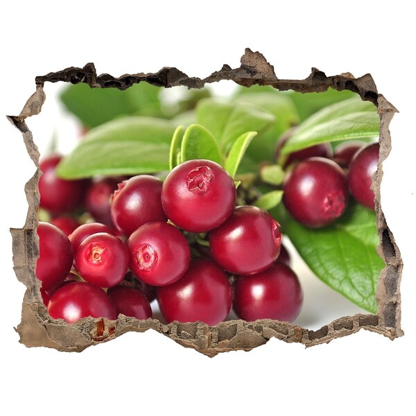 3D Wandtattoos Loch in der Wand Fruity Hole in the Wall