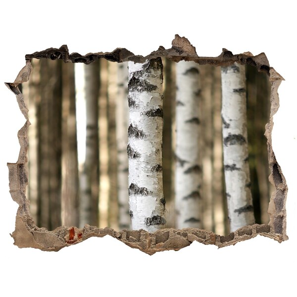 Wandtattoos Loch Eine Waldoase aus Beton