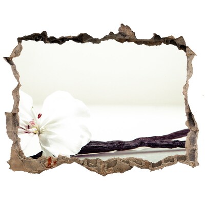 Wandtattoos Loch Blumenansicht durch die Wand