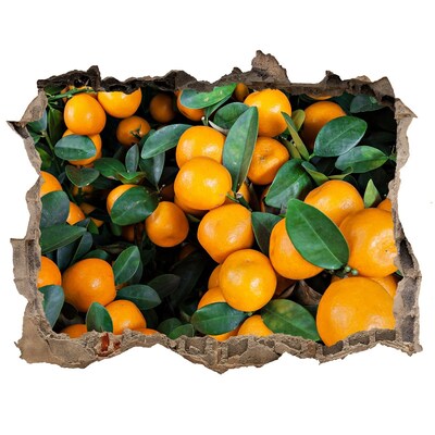 3D Wandsticker Loch Früchte im Orangengarten