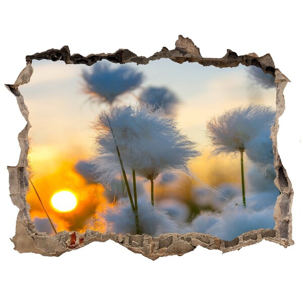 3D Wandsticker Loch Blumen im Sonnenuntergang