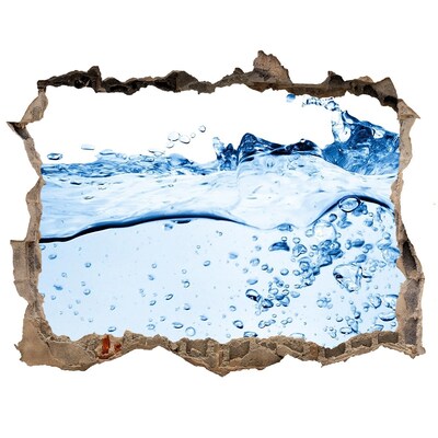 Wandtattoos Loch Unterwasserwelt