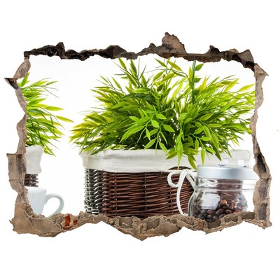 Wandfolien Loch in der Wand Eine grüne Oase im Komfort Ihres Zuhauses