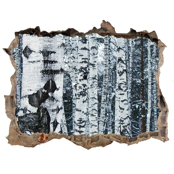 Wandfolien Loch in der Wand Winterbirkenwald