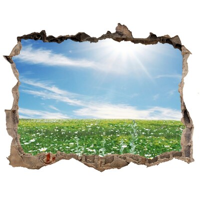 Wandtattoos Mauerdurchbruch Eine Blumenwiese unter blauem Himmel