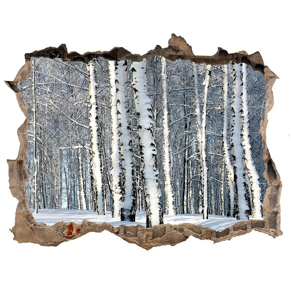 Wandfolien Loch in der Wand Winterwald in Weiß