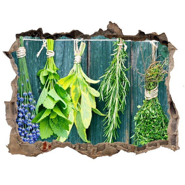 Wandfolien Loch in der Wand Kräutergarten in der Küche