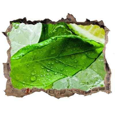 Wandtattoos Loch Frische Minzblätter auf Eis