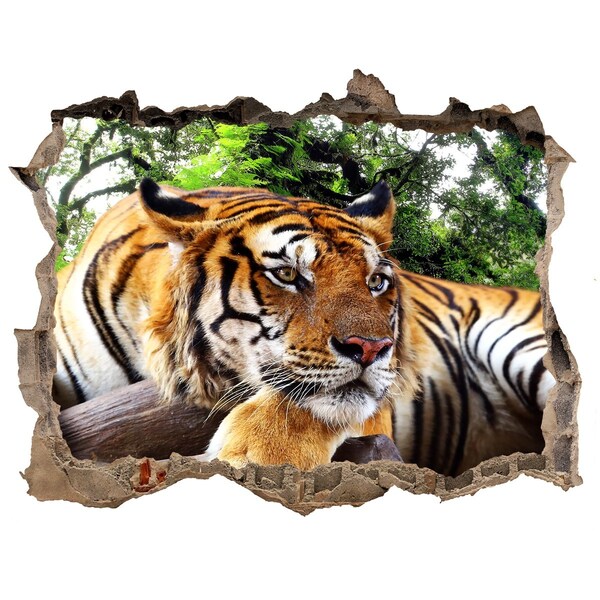 3D Wandsticker Loch Tiger im Dschungel