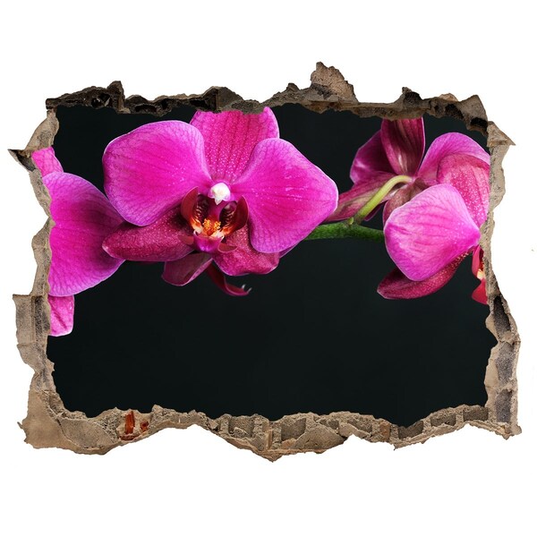 3D Wandsticker Loch Orchidee durch die Wand