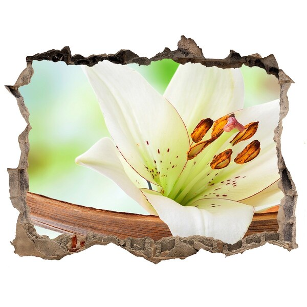 Wandtattoos Mauerdurchbruch Eine Blumenoase aus Beton