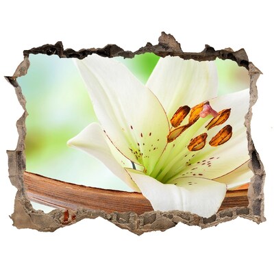 Wandtattoos Mauerdurchbruch Eine Blumenoase aus Beton