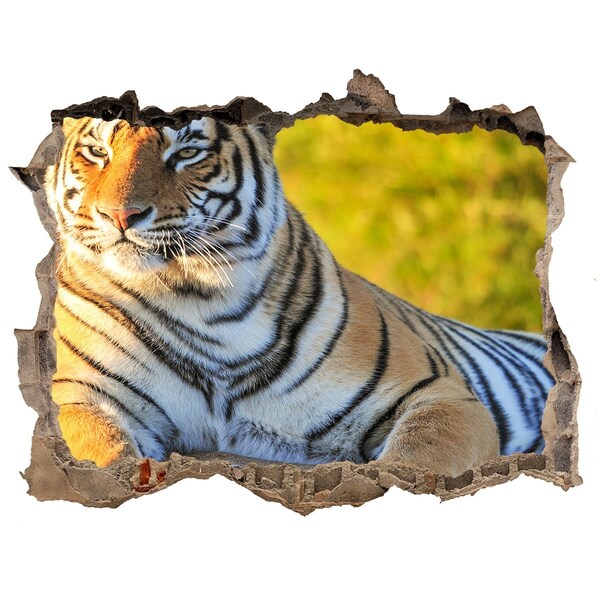 3D Wandsticker Loch Tiger in seinem natürlichen Lebensraum