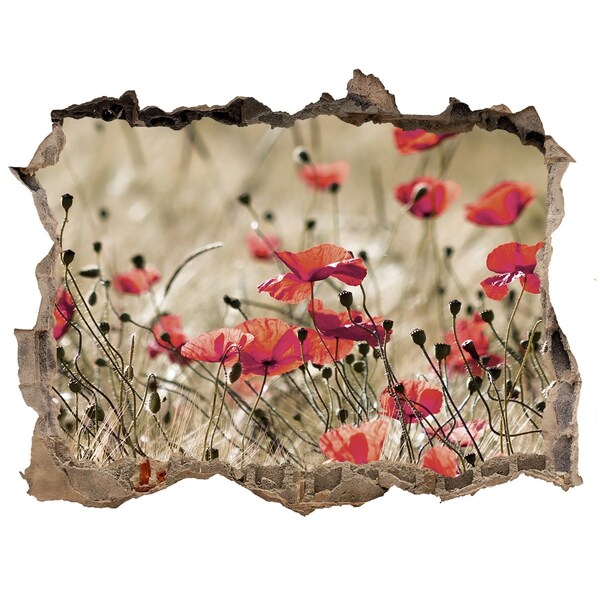 Wandfolien Loch in der Wand Ein Blumenparadies inmitten von Beton