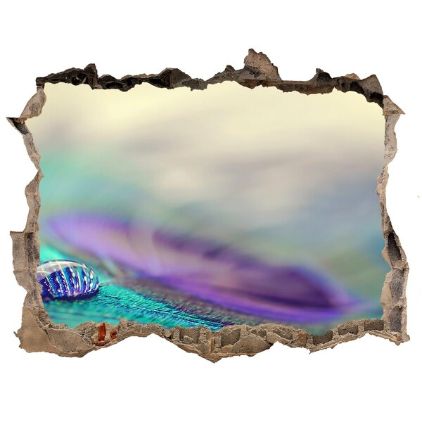 3D Wandsticker Loch Ein Tropfen auf einer Pfauenfeder