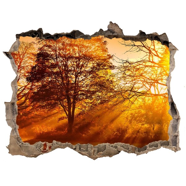 Wandtattoos Loch Goldene Sonnenstrahlen im Wald