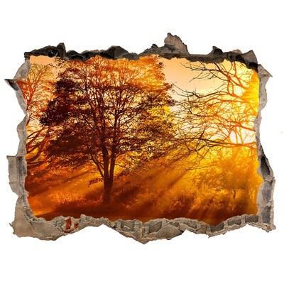 Wandtattoos Loch Goldene Sonnenstrahlen im Wald