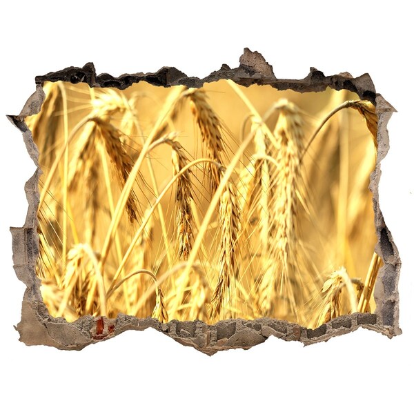 Wandtattoos Loch Goldene Körner im Sonnenschein