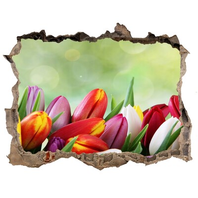 3D Wandsticker Loch Ein Blumenparadies hinter der Mauer