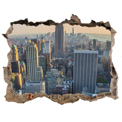 3D Wandsticker Loch Blick auf New York