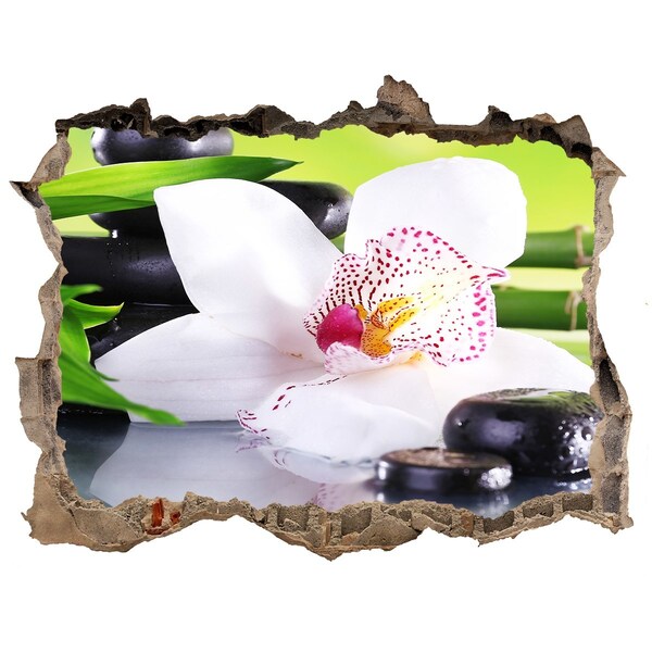 3D Wandsticker Loch Eine blühende Oase der Ruhe