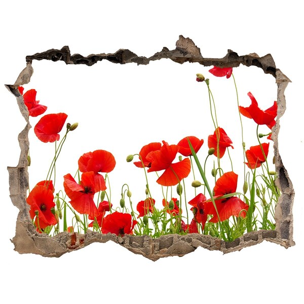 3D Wandtattoos Loch in der Wand Ein Blumenparadies aus Beton