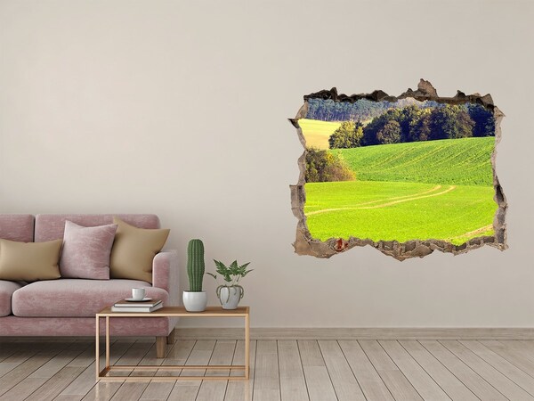 3D Wandsticker Loch Grüne Wiese hinter der Mauer