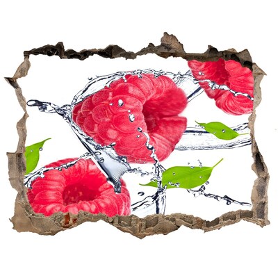 3D Wandsticker Loch Himbeerwasserfall