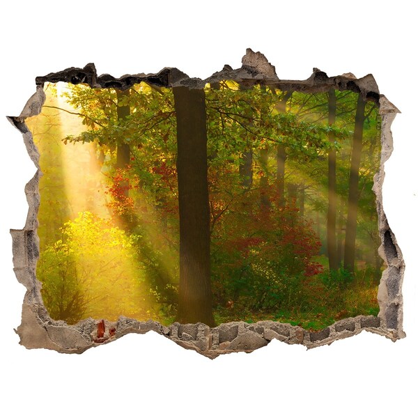 3D Wandtattoos Loch in der Wand Herbstwaldlandschaft