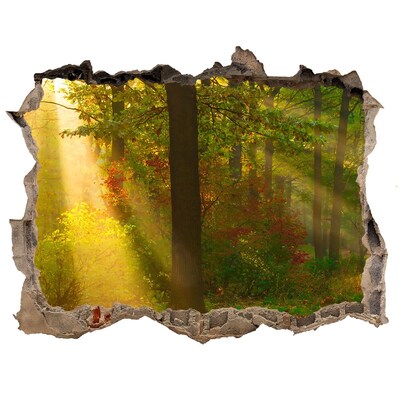 3D Wandtattoos Loch in der Wand Herbstwaldlandschaft