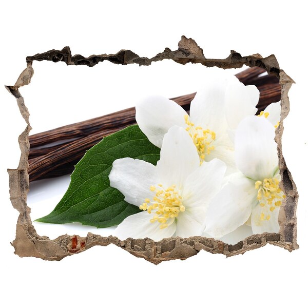 3D Wandsticker Loch Jasminblüten im Beton