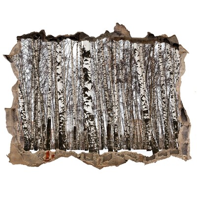 Wandfolien Loch in der Wand Winterbirkenwald